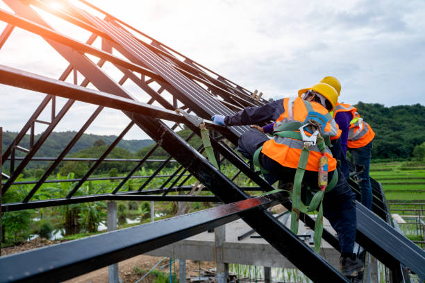 Best Roof Gutter Cleaning  in Schoolcraft, MI
