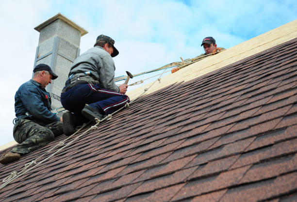 Best Roof Restoration Services  in Schoolcraft, MI